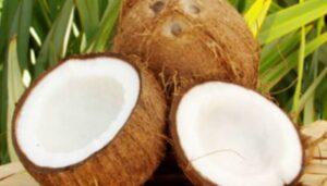 नया कार्य शुरू करने से पहले नारियल फोड़ने का महत्व और मान्यता