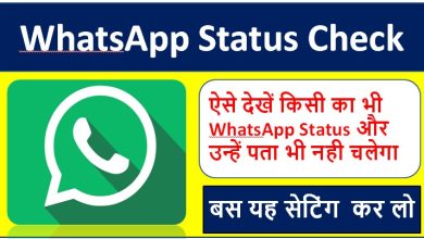 Whatsapp Status Check