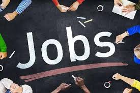 Sarkari-Naukari-Jobs, Sarkari-Vacancy-Jobs