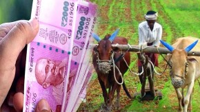PM Kisan yojana, पीएम किसान योजना के 4000 रुपए नहीं आए खाते मे तो जल्दी करें यह काम