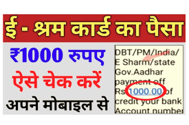 E Shram Card Payment: श्रमिकों के खातों में 1000 रुपये आना शुरू हुआ, एसे करें चेक