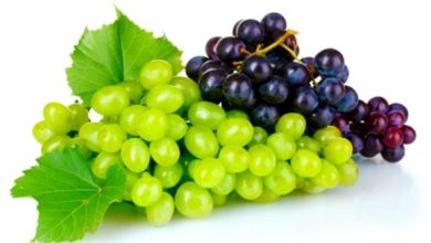 अंगूर खाने के फायदें - Grapes Health Benefits in Hindi