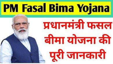 प्रधानमंत्री-फसल-बीमा-योजना-ऑनलाइन-रजिस्ट्रेशन-2022, Pradhan-Mantri-Fasal-Bima-Yojana-List-Download-करें