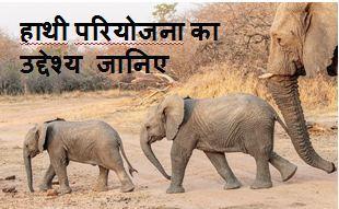 हाथी-परियोजना, Elephant-Project-In-Hindi