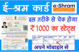 E-shram-Card-1000-Payment-Status-2022, ई-श्रम-कार्ड-की-अगली-किस्त, यहां-से-करें-चेक