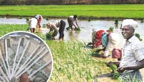 Farmer-Loan, किसानो-के-लिए-खुशखबरी-इन-18-जिलों-कें-किसानों-के-खाते-में-जमा-होंगे-50000-हजार-रुपये